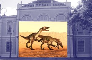Dino Museu