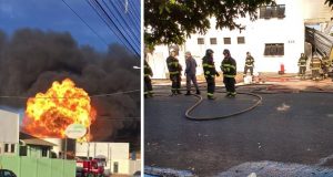 Incendio Regina