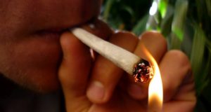 Maconha Servino