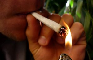 Maconha Servino