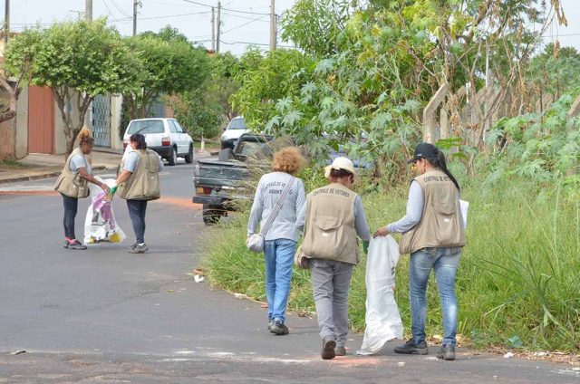 Meninas da Dengue 01