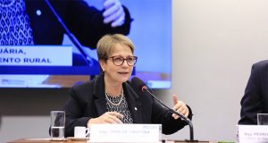 Tereza Cristina 140