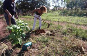 Thainara Faria Nosso Pomar 20 05 2019 5