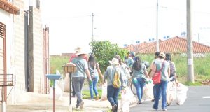 A Dengue 10