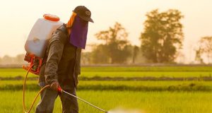 Agrotoxico 148