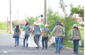 Comite Vetores 149