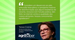 Lesa Patria