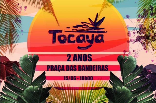 Tocaya 15