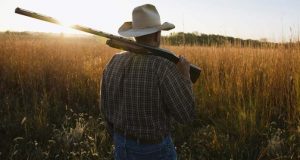 Senado aprova ampliação da posse de armas em propriedades rurais