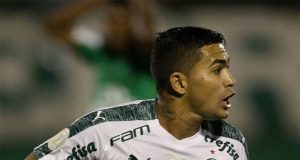 Palmeiras vence Chapecoense e fica líder do Brasileirão chapecoense palmeiras brasileirao2019