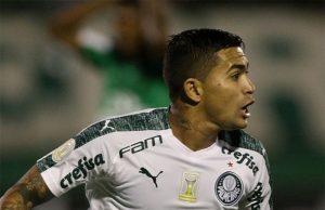 chapecoense palmeiras brasileirao2019