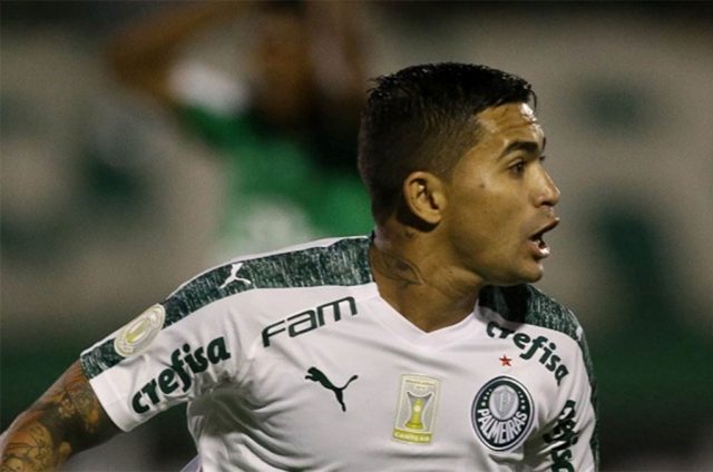 chapecoense palmeiras brasileirao2019