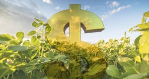 BNDES prorroga renegociação de dívida do produtor e inclui fornecedor