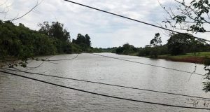 Concluída retirada de aguapés na represa do Córrego do Lajeado