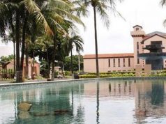 Araraquara terá fim de semana com duas feiras de economia criativa, cultura e gastronomia