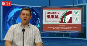 Seguro rural: projeto quer estimular contratação entre produtores do Pronaf