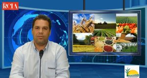 CAR: Análise Automática dos Cadastros