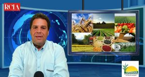 Proposta prevê carros movidos somente com biocombustível