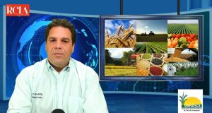 Trabalho rural: Atualização da legislação (NR 31)