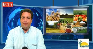 Embrapa desenvolve ‘exame de sangue da terra’