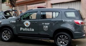 BAEP apreende quase 400 kg de drogas em Araraquara