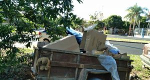 Guarda Municipal flagra descarte irregular