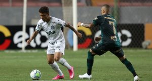 Palmeiras vence o América-MG e avança para a final da Copa do Brasil
