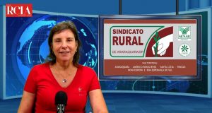 Anna Paula Nunes, Diretora do Sindicato Rural, fala sobre como a pandemia prejudica o produtor rural
