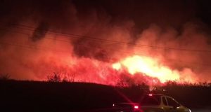 Fogo em canavial nesta segunda teria sido provocado por garotos