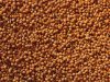 Agronegócio paulista registra superávit de US$ 1,9 bilhão em maio de 2026