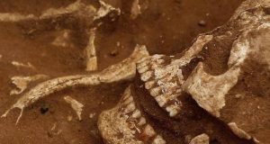 Esqueleto humano é encontrado em mata no Roxo