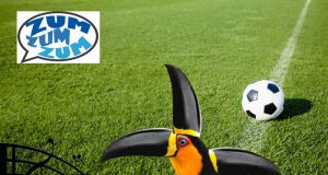 Por uma vaga na Alesp, um centro de treinamento para a AFE e uma Praça das Bandeiras revitalizada