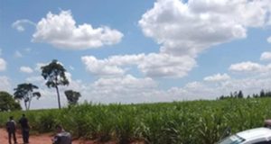 Criança de 12 anos fazia parte de quadrilha que furtava propriedade rural