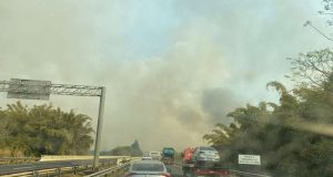 Incêndio em mata causa congestionamento na rodovia Araraquara-Ribeirão