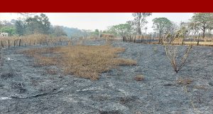 Desentendimento entre vigias e jovens poder ter sido o estopim para incêndio no Pinherinho
