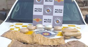 PR e TOR interceptam bolivianas com pasta base de cocaína nos seios, na barriga e nos pés
