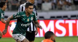 Palmeiras busca empate diante do Atlético e vai à final da Libertadores