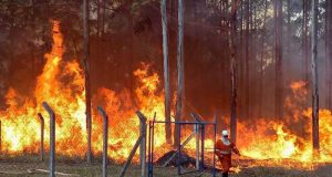 UFSCar é autuada em R$ 448,7 mil por fogo em cerrado