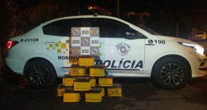 PR prende homem por furto de baterias de equipamentos às margens da rodovia