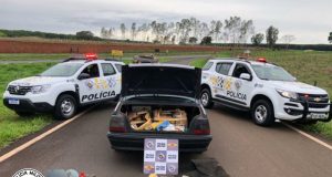 TOR prende “casal cannabis” com porta-malas lotado de maconha