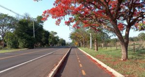 FCL e FCF da Unesp alertam para assédio de caminhoneiro a estudantes