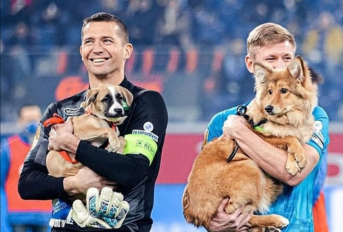 Jogadores entram em campo com cachorros de abrigo no colo; assista - Lance  - R7 Futebol