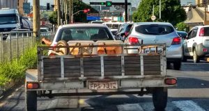 Prefeitura usa carreta que estaria fora dos padrões do Contran