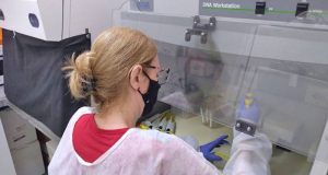 Estudo da Unesp diz que Ômicron circula em Araraquara desde primeiro de dezembro