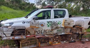 Homem leva multa de R$ 13,5 mil por manter aves nativas em cativeiro