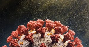 Covid mata idosas de 77 e 81 anos; Araraquara tem menos de 5% de novos casos na semana