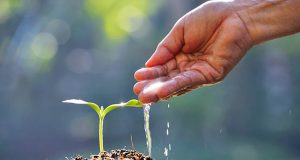 Comissão de Educação Ambiental faz planejamento das atividades de 2022