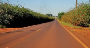 Governo estadual anuncia que Vicinal Araraquara a Matão será revitalizada