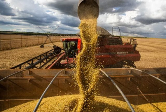 Agro