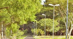 Fim de semana em Araraquara tem feiras, música e espetáculo gratuito; programe-se